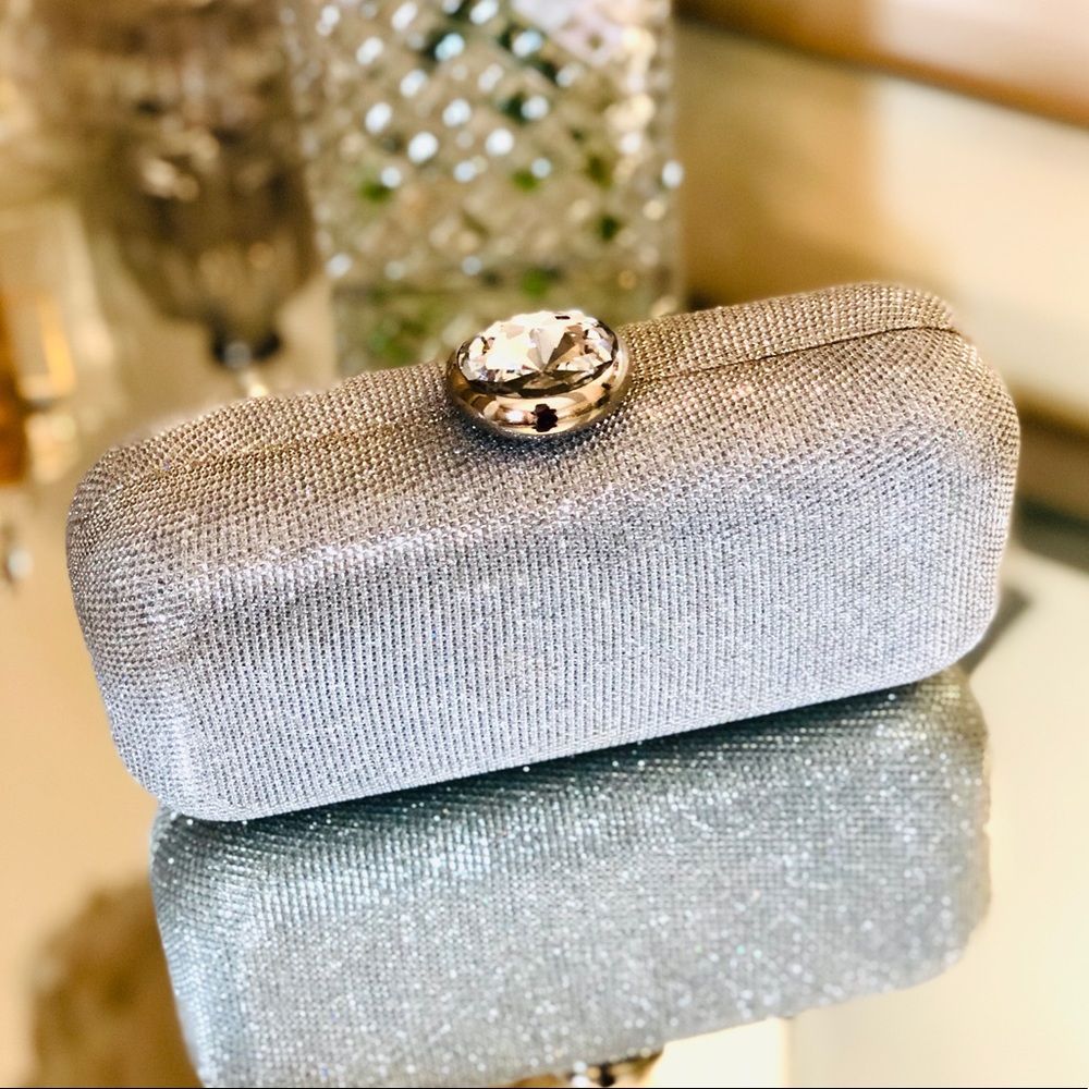 Silver Diamond Clasp Night Clutch
